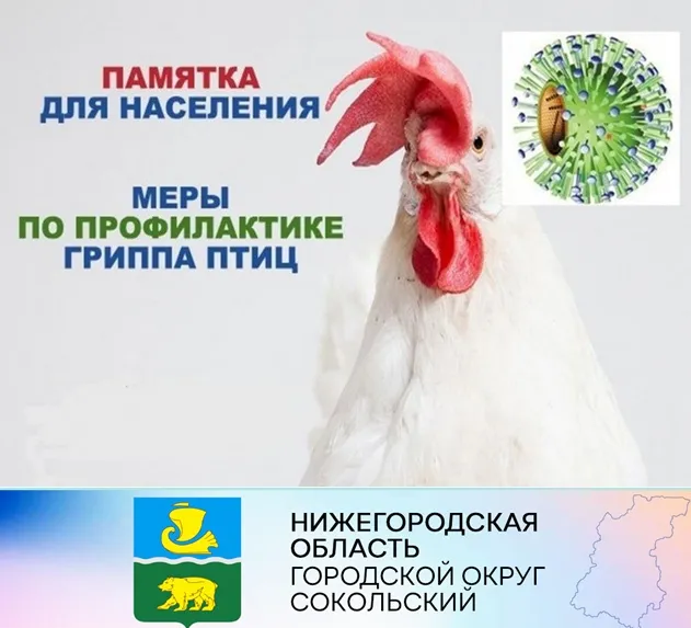 Комитет ветеринарии НО информирует, что за период с начала 2023 года на территориях 14 субъектов Российской Федерации зарегистрировано 29 случаев возникновения высокопатогенного гриппа птиц, в том числе: 7 – среди домашней птицы и 22 – среди дикой птицы