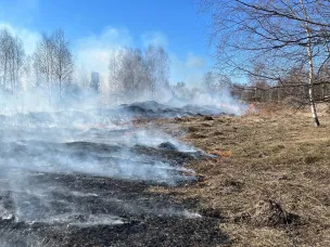 13 апреля 2023 в 15ч 02 мин в 152-ПСЧ поступило сообщение о горении травы у д. Баево г. о. Сокольский. Из-за сильных порывов ветра огонь быстро распространился на значительную площадь.