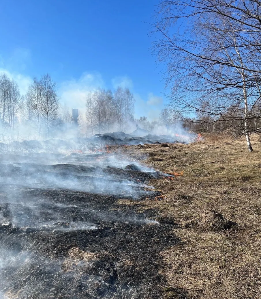 13 апреля 2023 в 15ч 02 мин в 152-ПСЧ поступило сообщение о горении травы у д. Баево г. о. Сокольский. Из-за сильных порывов ветра огонь быстро распространился на значительную площадь.