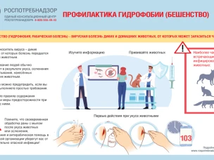 Профилактика бешенства!  Роспотребнадзор напоминает о заболевании, которое заканчивается летальным исходом. Бешенство – это особо опасное острое вирусное инфекционное заболевание, которое регистрируется в любые сезоны года. Бешенство можно только предотвратить. Средств лечения уже развившегося заболевания не существует.