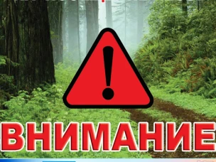 «ВНИМАНИЕ! ПОСЕЩЕНИЕ ЛЕСОВ ЗАПРЕЩЕНО!»