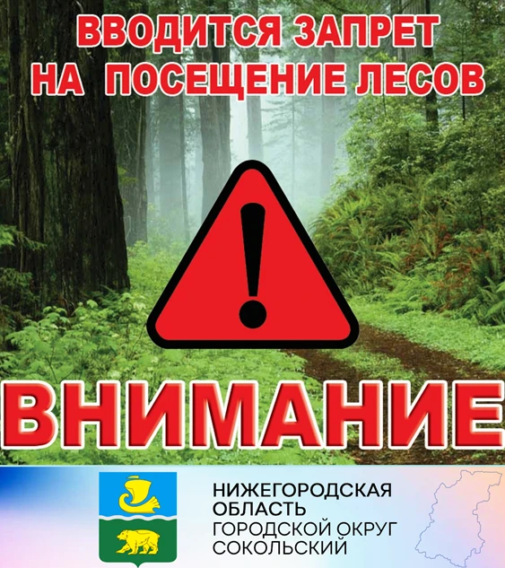 «ВНИМАНИЕ! ПОСЕЩЕНИЕ ЛЕСОВ ЗАПРЕЩЕНО!»