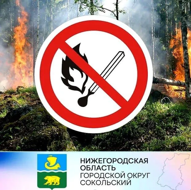 «ВНИМАНИЕ! ГОРЯТ ЛЕСА!»  Уважаемые жители и гости городского округа Сокольский!  На территории Нижегородской области вследствие установившейся жаркой погоды резко осложнилась обстановка с пожарами в лесах. Всего на сегодняшний день зарегистрировано 65 лесных пожаров. Площадь, пройдённая огнём, составила 3730 Га. В сравнении с аналогичным периодом 2021 года общая площадь лесных пожаров увеличилась в 5,2 раза, со среднемноголетним значением – в 15,5 раз.