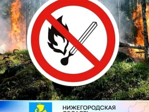 ВНИМАНИЕ!  На территории городского округа Сокольский Нижегородской области  с 25 апреля 2022 года установлен  «ОСОБЫЙ ПРОТИВОПОЖАРНЫЙ РЕЖИМ».