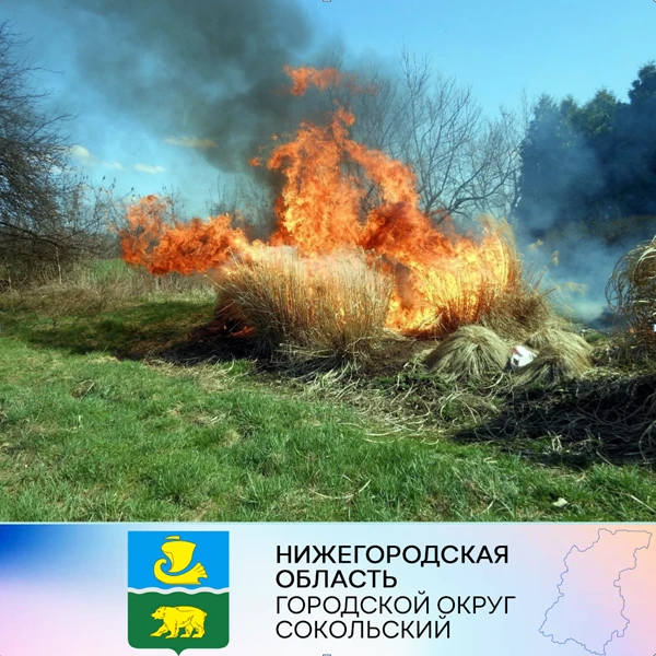 ВНИМАНИЕ!  Лесной пожар в Сокольском.  БУДЬТЕ ОСТОРОЖНЫ С ОГНЕМ!