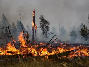 О введении режима чрезвычайной ситуации на территории  Нижегородской области