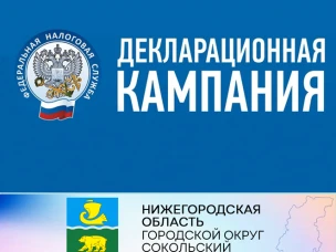 В Нижегородской области началась Декларационная кампания-2023 по декларированию доходов физических лиц