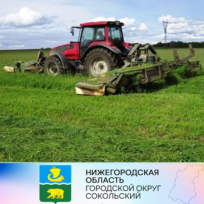 В г.о. Сокольский началась кормозаготовка.