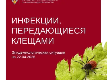 Начался сезон активности клещей. Будьте внимательны!