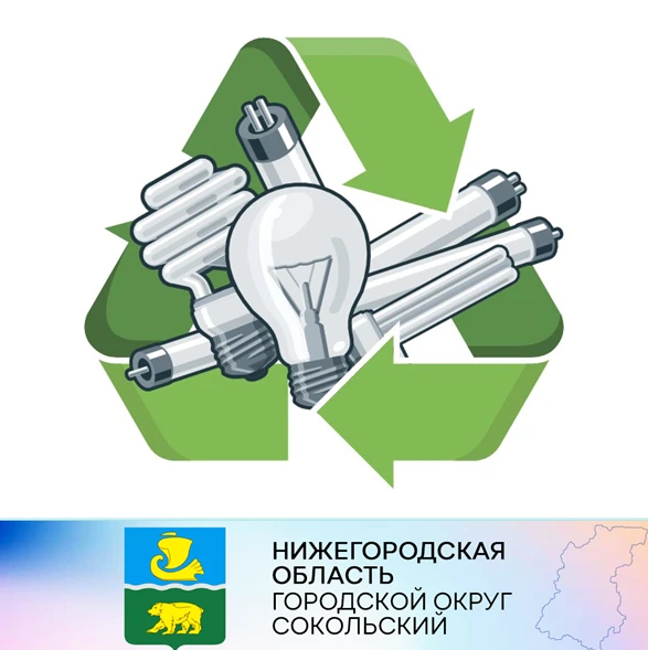 Информация о пункте приема отработанных ртутьсодержащих ламп на территории городского округа Сокольский Нижегородской области