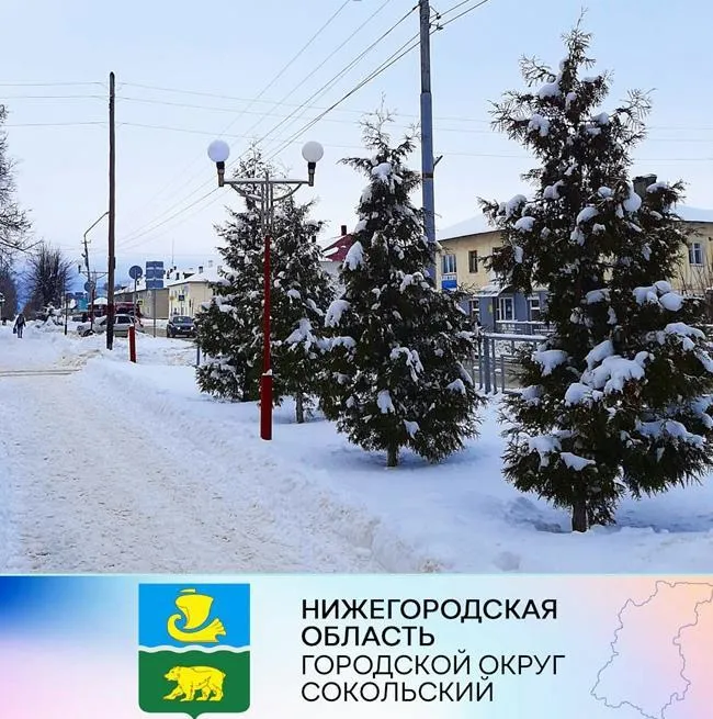 Уважаемые сокольчане!  ПО "Балахнинские электрические сети" информирует! 10 февраля 2022 года будет проводиться плановое отключение электроэнергии на территории г.о.Сокольский по следующим адресам