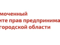 Более 80 обучающих мероприятий для нижегородских предпринимателей провели общественные помощники бизнес-омбудсмена во II квартале